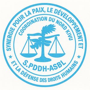 Beni : Mésentente persistante entre chefs des quartiers et administrés, la SPDDH propose la permutation