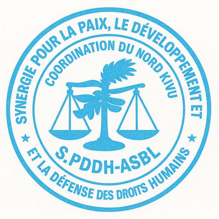Beni : Mésentente persistante entre chefs des quartiers et administrés, la SPDDH propose la permutation
