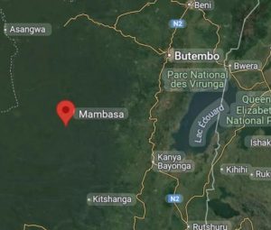 Mambasa : Les trois groupements frappés de plein fouet par les ADF