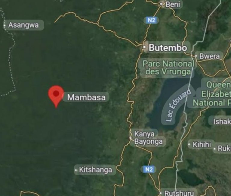 Mambasa : Les trois groupements frappés de plein fouet par les ADF