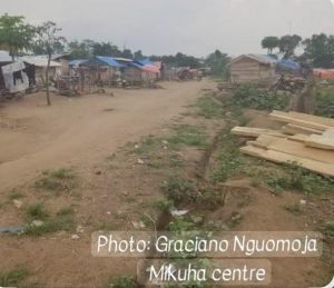 Nord-Kivu : Des agriculteurs dénoncent des tracasseries attribuées aux Wazalendo à Mikuha-Kididiwe