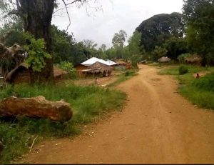 Nord-Kivu : Quatre mois d’inactivité du centre de santé de Mbutaba, la société civile appelle à l’intervention des autorités sanitaires