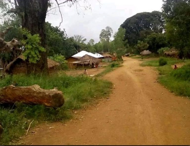 Nord-Kivu : Quatre mois d’inactivité du centre de santé de Mbutaba, la société civile appelle à l’intervention des autorités sanitaires