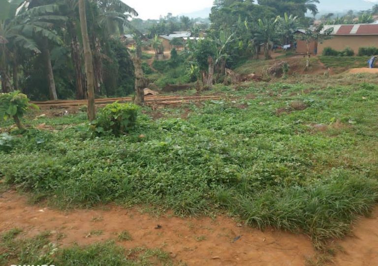 Beni : Assassinat d&rsquo;une femme de 70 ans à Kipabashi, la société civile réclame une présence militaire