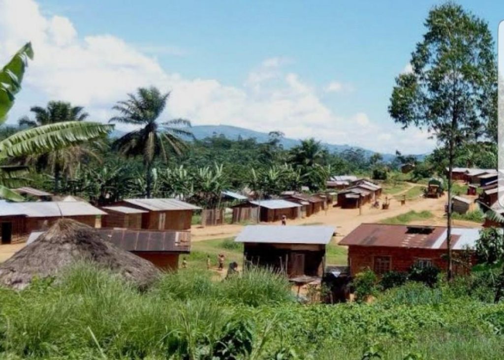 Nord-Kivu : La société civile accuse la SOCODA de dérives