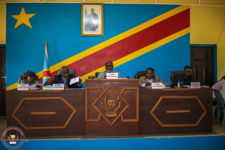 Kasaï : l’Assemblée provinciale adopte trois motions d’interpellation contre des membres du gouvernement