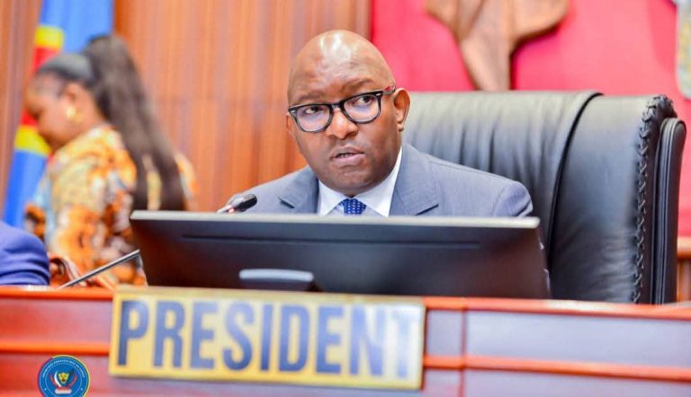 Référendum en RDC : Le Sénat adopte la proposition de loi en seconde lecture avec amendements