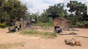 Nord-Kivu : Incursion des ADF au nord de la nouvelle ville de Oïcha, des disparus signalés