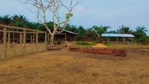 Kasaï : le marché de Malumalu achevé à 90 %