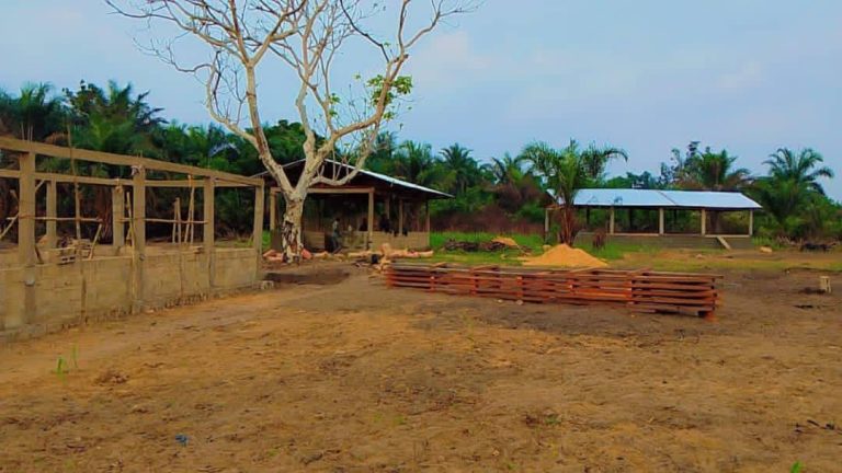 Kasaï : le marché de Malumalu achevé à 90 %