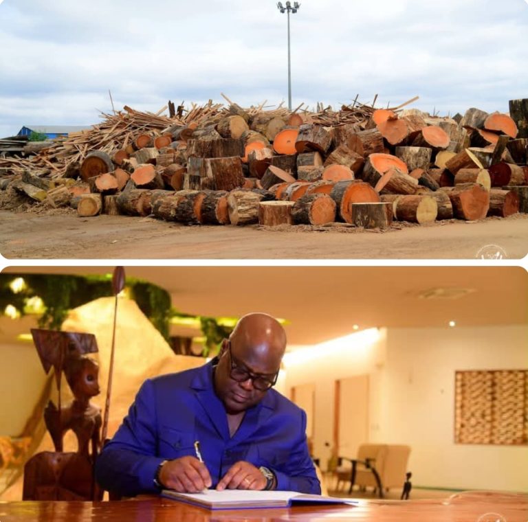 Tshisekedi s’imprègne du modèle industriel de la Zone de Nkok au Gabon